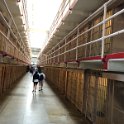 images/bike_usa_2019/giorno03-alcatraz-visita/1549648A-8DE1-49CF-BEB6-4CA509DF5B7E_1_105_c-thumb.jpeg