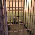 images/bike_usa_2019/giorno03-alcatraz-visita/26E5CB9D-EDC8-4103-808C-431D902EA4A9_1_105_c-thumb.jpeg