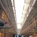 images/bike_usa_2019/giorno03-alcatraz-visita/4D46D9D3-EDB8-44D5-B73F-1881488E090F_1_105_c-thumb.jpeg