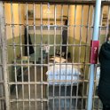 images/bike_usa_2019/giorno03-alcatraz-visita/FCF8524C-0A0C-4198-A145-95E99527B275_1_105_c-thumb.jpeg