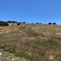 images/bike_usa_2019/giorno05-laguna-seca-cavatappi/8E807E5F-B0E0-400A-8EC1-1C5E14F9E4F7_1_105_c-thumb.jpeg