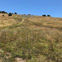 images/bike_usa_2019/giorno05-laguna-seca-cavatappi/CA08DFC2-A7A7-4411-BC44-004C6D135677_1_105_c-thumb.jpeg