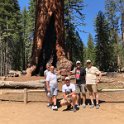 images/bike_usa_2019/giorno09-sequoie/007A1B65-D577-4BAD-9D78-A4EE77C62AB9_1_105_c-thumb.jpeg