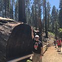 images/bike_usa_2019/giorno09-sequoie/04533BB6-C94A-4AD8-95E7-16141C988B6E_1_105_c-thumb.jpeg