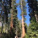 images/bike_usa_2019/giorno09-sequoie/0E6B59E4-B8AD-49D3-9D2A-E11F7E099106_1_105_c-thumb.jpeg