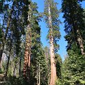 images/bike_usa_2019/giorno09-sequoie/1089F397-402D-4D04-9620-BD6AF2CDF33D_1_105_c-thumb.jpeg