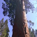 images/bike_usa_2019/giorno09-sequoie/126DC465-D4A3-48E1-A74F-490A818E0323_1_105_c-thumb.jpeg