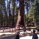 images/bike_usa_2019/giorno09-sequoie/131DB0BE-8B34-428C-A384-E7069E3FB349_1_105_c-thumb.jpeg