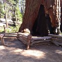 images/bike_usa_2019/giorno09-sequoie/14AA88B3-FEAA-4591-968E-C315A0F10CCF_1_105_c-thumb.jpeg