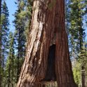 images/bike_usa_2019/giorno09-sequoie/1810CEF8-BBC9-4241-87CA-98CD800BECC9_1_105_c-thumb.jpeg