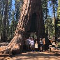 images/bike_usa_2019/giorno09-sequoie/18A40489-6B15-4228-AAC4-5B7AD9D59313_1_105_c-thumb.jpeg