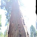 images/bike_usa_2019/giorno09-sequoie/19AE664F-DCF2-4A64-B5B4-7D451459E25D_1_105_c-thumb.jpeg