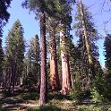 images/bike_usa_2019/giorno09-sequoie/1DE1293B-5906-4BD1-970F-E5F2B67FFB64_1_105_c-thumb.jpeg