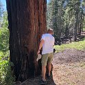 images/bike_usa_2019/giorno09-sequoie/233900ED-D4B7-464E-AD6B-A1BB75C62F9A_1_105_c-thumb.jpeg