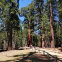 images/bike_usa_2019/giorno09-sequoie/24E1D7C4-8AD6-4044-8EDB-5E4DCF17DF52_1_105_c-thumb.jpeg