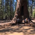 images/bike_usa_2019/giorno09-sequoie/26CD896C-C8AA-4E06-8C51-E54445D12170_1_105_c-thumb.jpeg