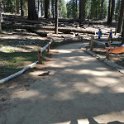 images/bike_usa_2019/giorno09-sequoie/2AF75E2F-D836-4BBE-B2F2-B2E34EADB585_1_105_c-thumb.jpeg