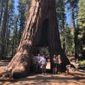 images/bike_usa_2019/giorno09-sequoie/2C2CF926-7C7D-4DB1-B534-495713A1362E_1_105_c-thumb.jpeg