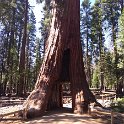 images/bike_usa_2019/giorno09-sequoie/378935BB-60AF-4F87-9E64-373E6DD8CA42_1_105_c-thumb.jpeg