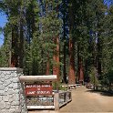 images/bike_usa_2019/giorno09-sequoie/3DF524CE-D290-4307-A791-5C55059478A2_1_105_c-thumb.jpeg