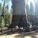 images/bike_usa_2019/giorno09-sequoie/4FD9DBC3-33BE-4EFF-94A1-3BA7715D3082_1_105_c-thumb.jpeg