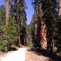 images/bike_usa_2019/giorno09-sequoie/4FDEE389-07A7-4788-915D-7E75ACA83E86_1_105_c-thumb.jpeg