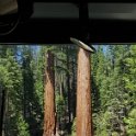 images/bike_usa_2019/giorno09-sequoie/520FAF85-79AC-4665-A2AA-B467EA47D302_1_105_c-thumb.jpeg