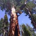 images/bike_usa_2019/giorno09-sequoie/60326CE5-9281-495F-8336-61F92A721FC8_1_105_c-thumb.jpeg