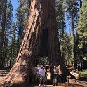 images/bike_usa_2019/giorno09-sequoie/663CB3C6-3BCA-44B4-9882-2AB5CD58A098_1_105_c-thumb.jpeg