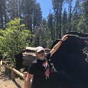 images/bike_usa_2019/giorno09-sequoie/6AA50B8B-4DD3-4062-AA35-35BB705073A1_1_105_c-thumb.jpeg