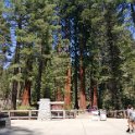 images/bike_usa_2019/giorno09-sequoie/6D64A200-FFA0-40AF-A953-9C910C723B18_1_105_c-thumb.jpeg