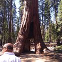 images/bike_usa_2019/giorno09-sequoie/7838CB6B-2CBA-43F7-9907-06ED6442D0EE_1_105_c-thumb.jpeg