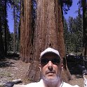 images/bike_usa_2019/giorno09-sequoie/7D8C6C09-A419-475B-9D84-9AFB9C70D5F3_1_105_c-thumb.jpeg