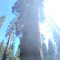 images/bike_usa_2019/giorno09-sequoie/85F4BED9-F67D-4F45-8F7E-8E8EBCFB00FD_1_105_c-thumb.jpeg