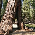 images/bike_usa_2019/giorno09-sequoie/887DADB2-DF8E-4145-AB6B-860738551E3B_1_105_c-thumb.jpeg