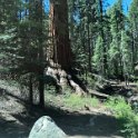 images/bike_usa_2019/giorno09-sequoie/8AE0B817-7D27-4C7E-96B5-0EEEE4C30362_1_105_c-thumb.jpeg