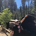 images/bike_usa_2019/giorno09-sequoie/8BA6C892-D33B-4E12-9F5D-FB67EFD4EE80_1_105_c-thumb.jpeg