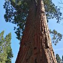 images/bike_usa_2019/giorno09-sequoie/8F286BB4-E1B5-43E2-ADF3-D165D913A942_1_105_c-thumb.jpeg