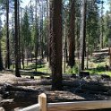 images/bike_usa_2019/giorno09-sequoie/953F7157-C6BA-42AF-BA73-F1EE9B91E351_1_105_c-thumb.jpeg