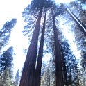 images/bike_usa_2019/giorno09-sequoie/96A2D26B-636A-4B90-BA72-2FB83A086D92_1_105_c-thumb.jpeg