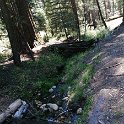 images/bike_usa_2019/giorno09-sequoie/96F4DB8A-2BA4-412E-B1CE-4B6E8D9A8A4E_1_105_c-thumb.jpeg