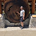 images/bike_usa_2019/giorno09-sequoie/A31EE9BC-56B7-42B9-91D0-334FD22337DE_1_105_c-thumb.jpeg