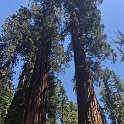 images/bike_usa_2019/giorno09-sequoie/A915C61F-3D2B-4C26-BEDD-15B6B37D468C_1_105_c-thumb.jpeg