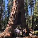 images/bike_usa_2019/giorno09-sequoie/AC6EC24D-B4FB-431D-B1D7-FD9A5945095A_1_105_c-thumb.jpeg