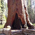 images/bike_usa_2019/giorno09-sequoie/B8EE0D14-5D33-4A37-ABDC-1FD2B9788860_1_105_c-thumb.jpeg