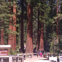 images/bike_usa_2019/giorno09-sequoie/BC7F7101-5F3A-46D7-ADA9-03DF15AB140F_1_105_c-thumb.jpeg