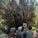 images/bike_usa_2019/giorno09-sequoie/C6717712-9C02-4B91-96D2-704CBBFC2FDB_1_105_c-thumb.jpeg