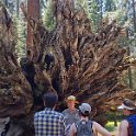 images/bike_usa_2019/giorno09-sequoie/CA31B1BA-7316-4810-8B20-2301B005FB54_1_105_c-thumb.jpeg