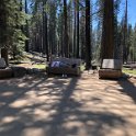 images/bike_usa_2019/giorno09-sequoie/CAA4E857-A2EC-48B8-AF59-7326013A9C14_1_105_c-thumb.jpeg