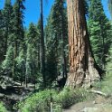 images/bike_usa_2019/giorno09-sequoie/CEB785B5-497B-4CD7-B868-077C7610E46E_1_105_c-thumb.jpeg